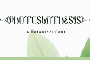 Photosynthesis: A Display Font That Elevates Digital Branding