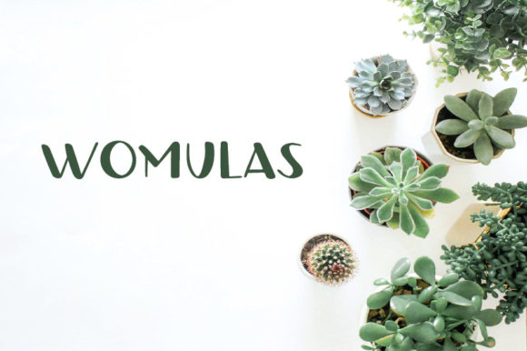 Womulas: A Playful Display Font That Stands Out in Fast-Scrolling Feeds